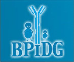 BPiDG.jpg