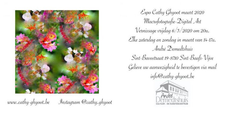 2020-03-CathyGhyoot.jpg