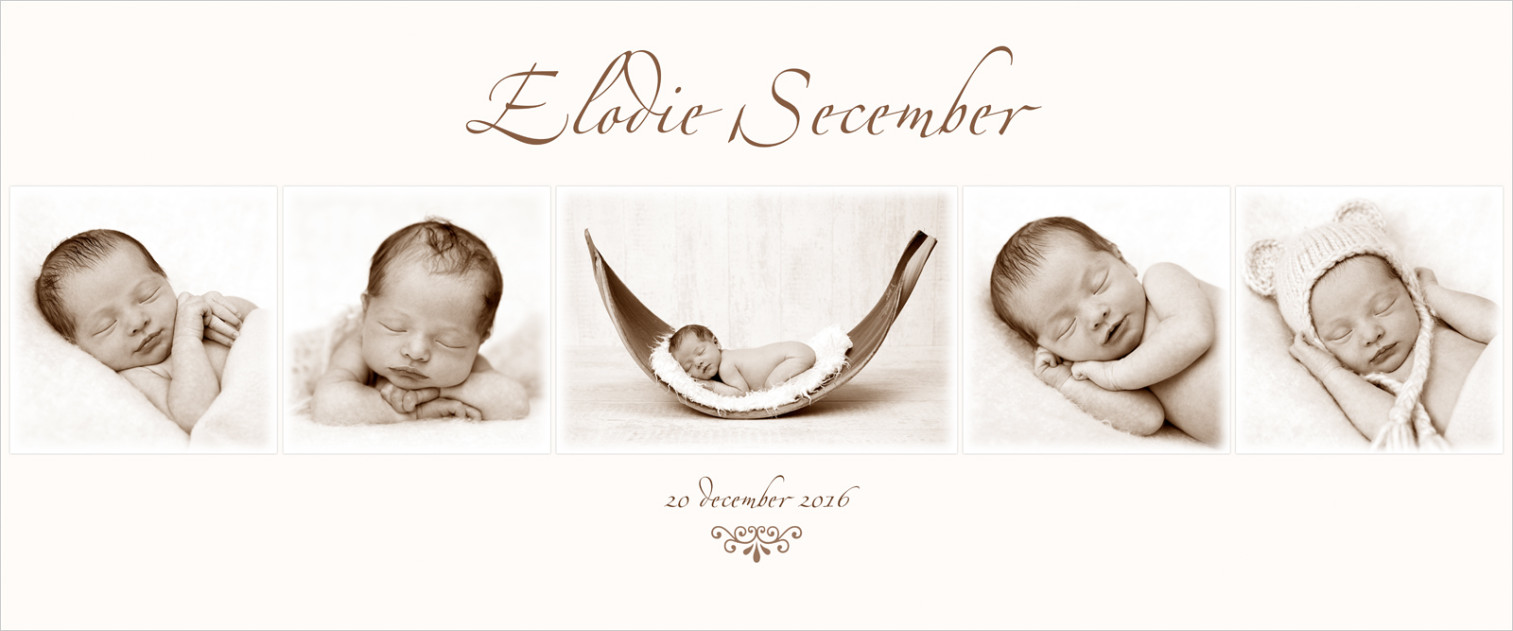 mont_elodie.jpg