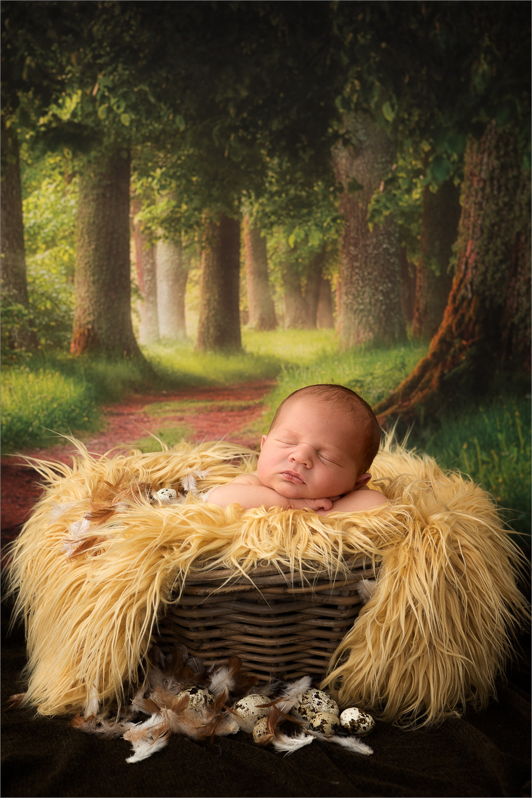 20200814Newborn101.jpg