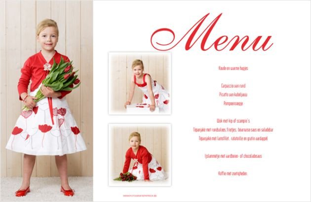 Menu 4106_detail.jpg