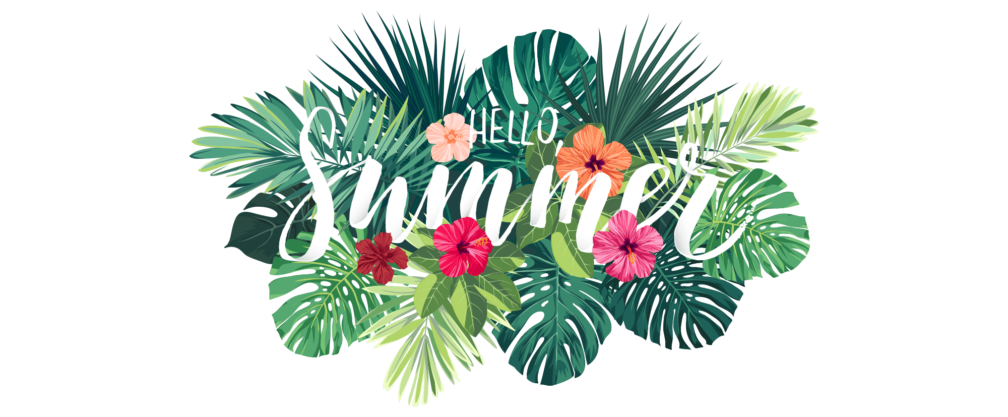header-summercamp2018.png