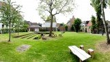tuin oh.jpg