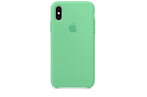 https://dpyxfisjd0mft.cloudfront.net/lab9-2/AirPods%20%26%20iPhone%20%26%20AW%20cases/Apple-iPhone-XS-Silicone-Case---Spearmint.jpg?1553247200&w=511&h=337