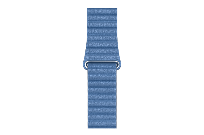 https://dpyxfisjd0mft.cloudfront.net/lab9-2/AirPods%20%26%20iPhone%20%26%20AW%20cases/watchband-korenbloemblauw-44mm.png?1553610006&w=690&h=455