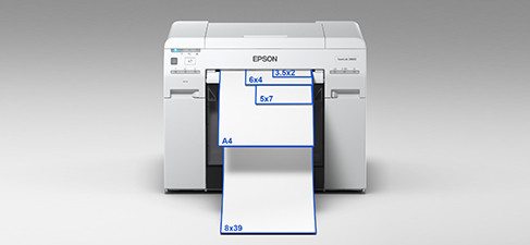 Headerimage-EpsonD800-2.jpg