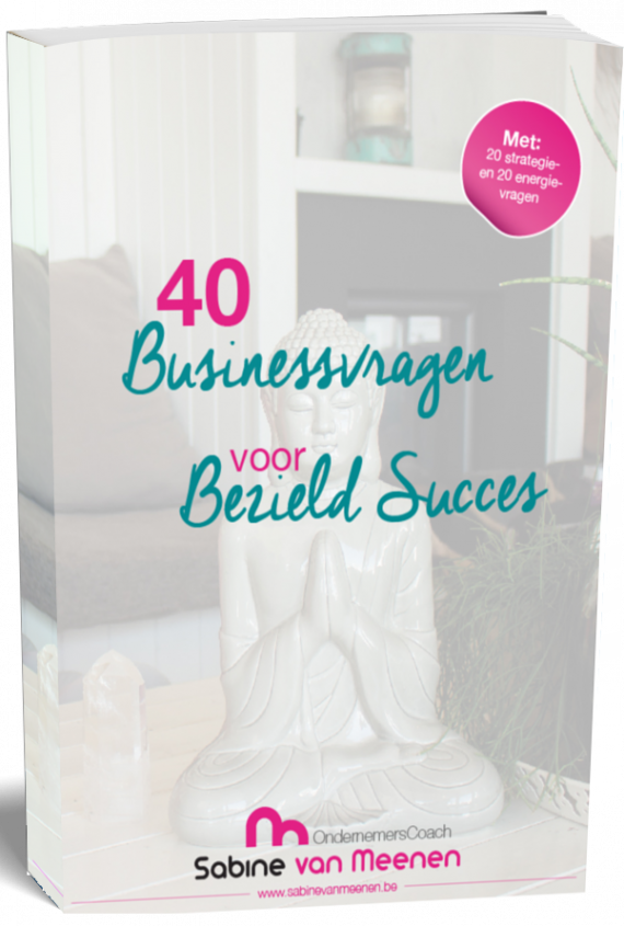 44 businessvragen